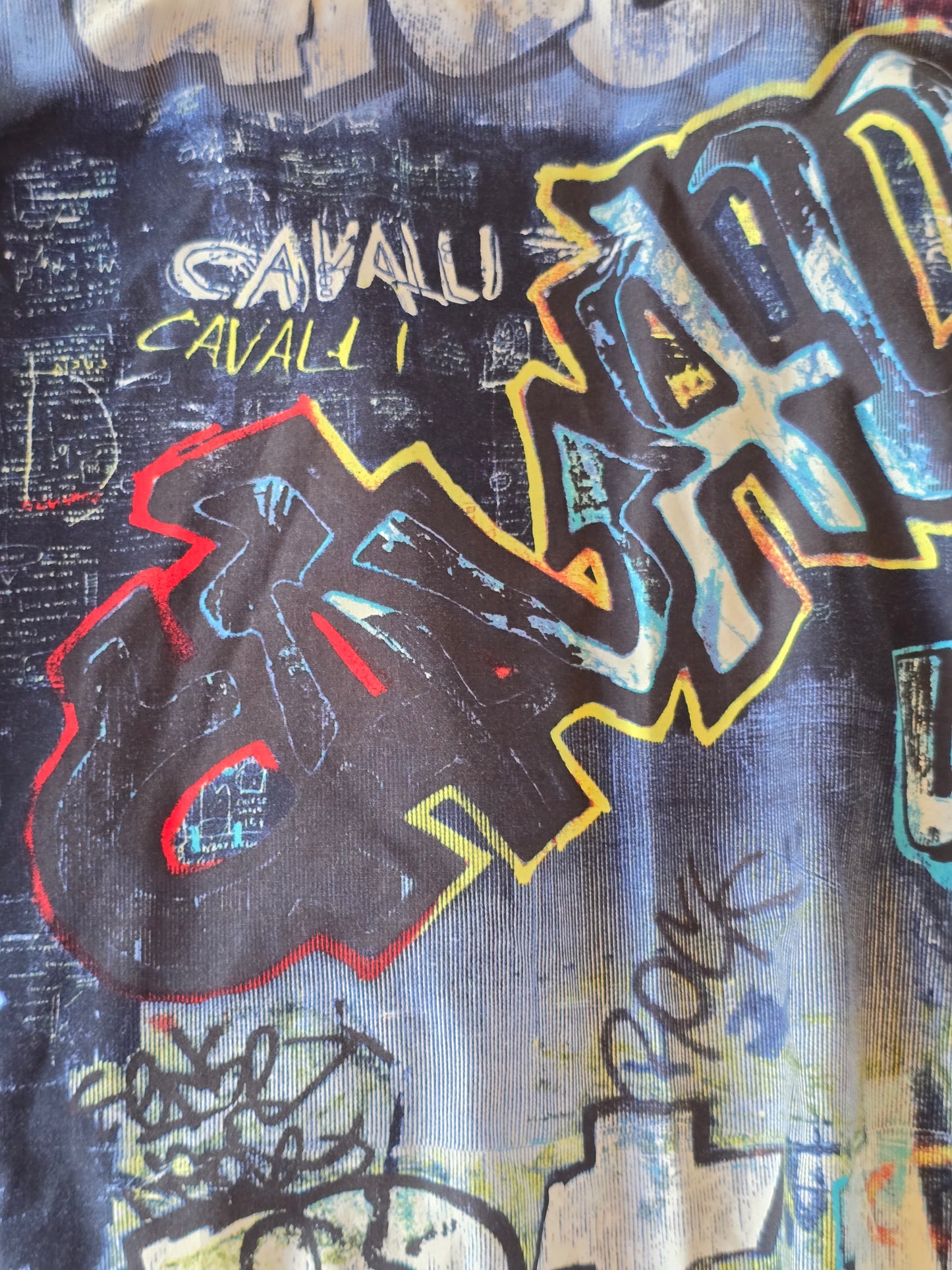 Graffiti Cavalli Shirt — sample