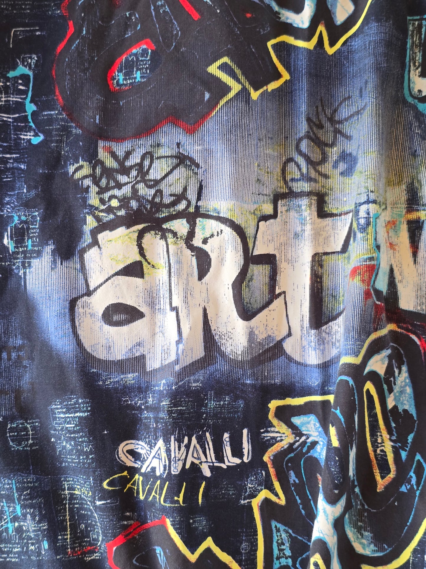Graffiti Cavalli Shirt — sample